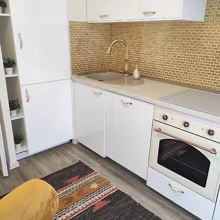 Apartment F3 Design Colmar+parking Free Colmar