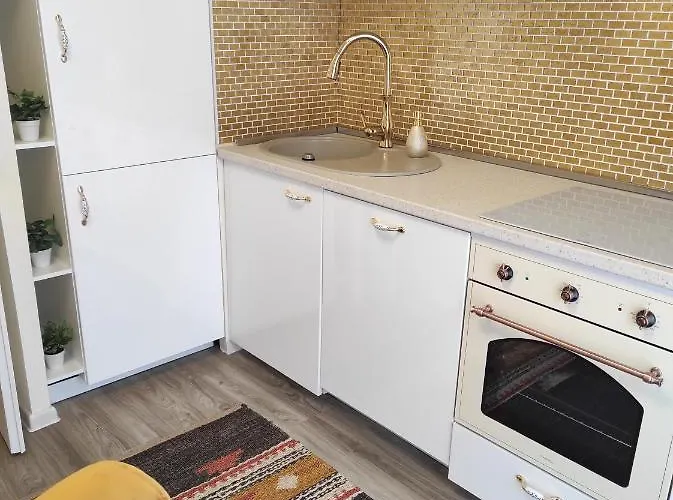 Appartement F3 Design Colmar+parking Free Colmar